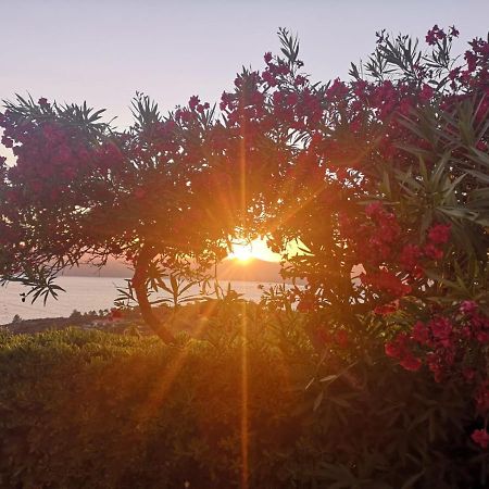 La Casa Sul Tramonto - Capoliveri - Services Included Luaran gambar